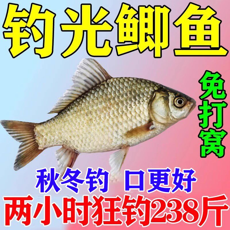 速发鲫料野钓专用黑坑大板鲫浓腥香钓料野钓四季通杀主攻