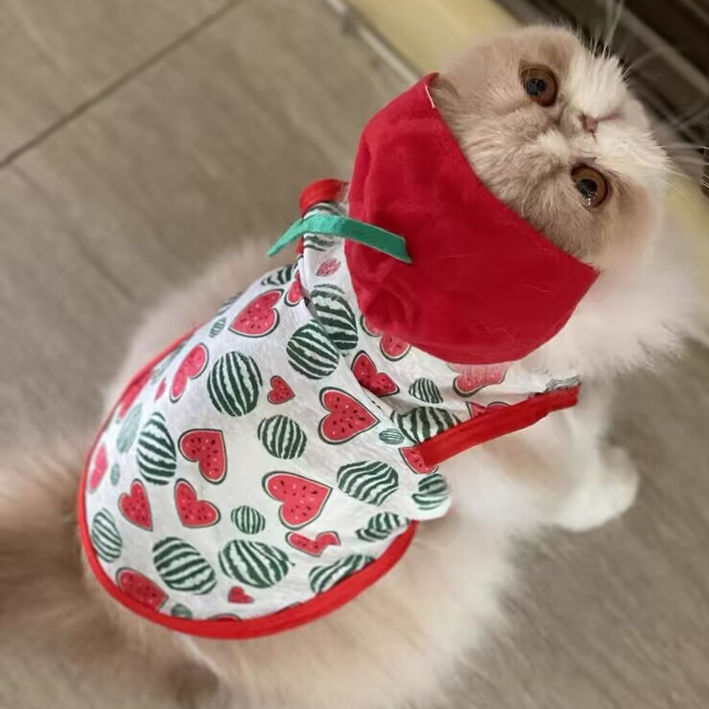 速发猫咪小服防晒背心蓝猫橘猫英短防衣毛薄款掉服衣兔兔吊带