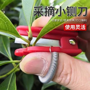 速发拇指刀葡摘掐尖采萄能瓜蔬菜侧芽打叶掐须花椒采摘器多功黄小