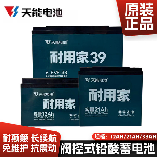 天能21ah爱玛雅迪铅酸蓄电池