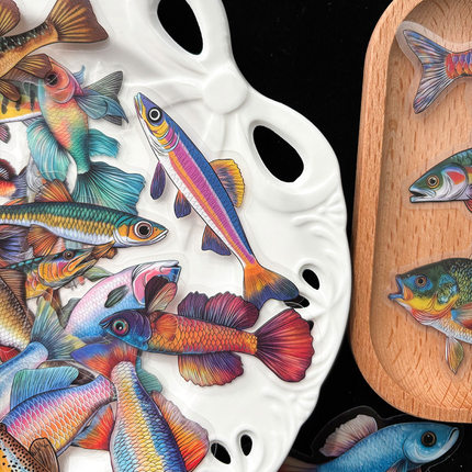 50张Fish贴纸pet材质笔记本电脑手账本手机壳装饰ipad防水DIY贴画