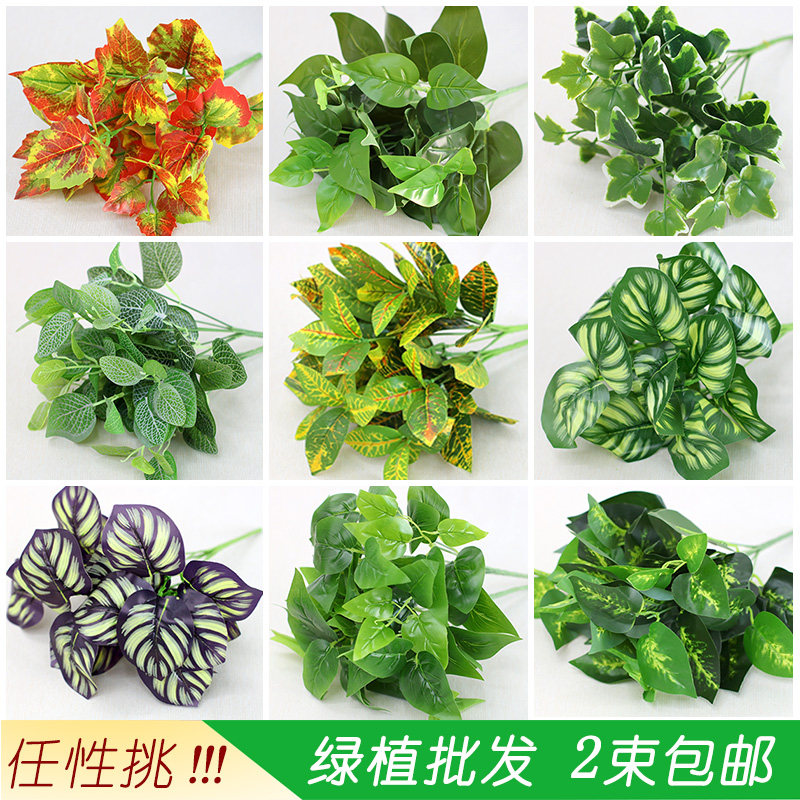 塑料绿萝隔断插花植物墙