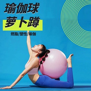 速发瑜伽球萝卜蹲健身球孕妇产后固复成人专用普加提球修定圈拉厚