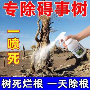 速发子竹灭药药竹根连根烂灭竹王灭竹净杀竹剂灭竹的专杀竹子药杂