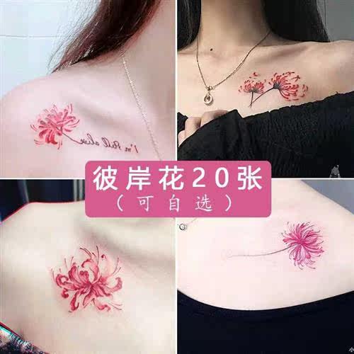 B彼岸花价格 B彼岸花图片 星期三