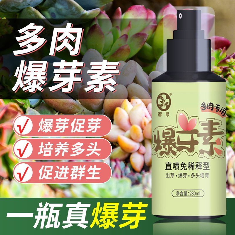 速发爆芽素多肉专用花多料营养液芽优素促肥头发芽催芽促进生根通