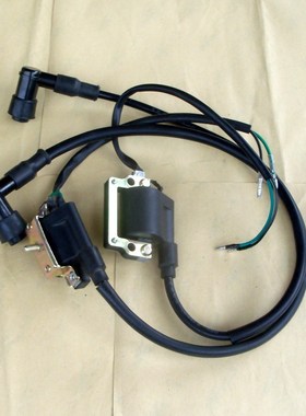 速发DY100嘉J110J0D大陵H70适合泰弯梁车摩托车点火线圈高压包