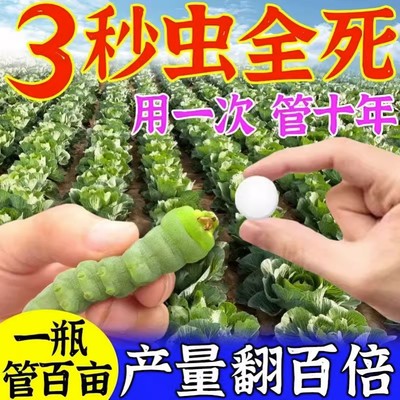 园艺防虫片杀虫剂植物小白药吡虫啉糖化硼肥片杀虫片花卉驱蚊驱虫