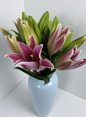 黄天霸香水百合鲜花家庭邮到