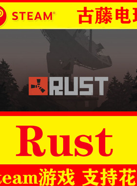 STEAM PC 正版正版游戏 Rust Instruments 腐蚀 生存游戏 成品号