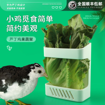 喂食器蔬菜饲养用品造景小鸡