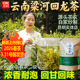 云南梁河回龙茶叶绿茶2026新茶德宏滇绿袋装 浓香回甘炒青绿茶