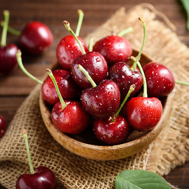 自家果园大连樱桃砂蜜豆大樱桃特产新鲜大果现摘现发5斤装包邮