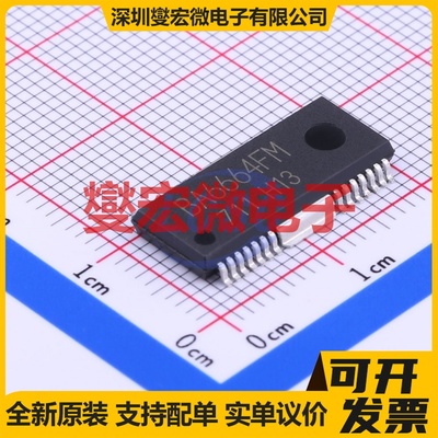 TM1621B SSOP-48-300mil LCD驱动器芯片IC