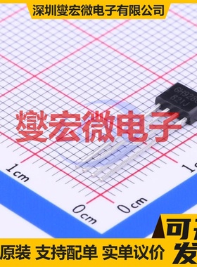 TM1721 SSOP-48-300mil LCD驱动器芯片IC