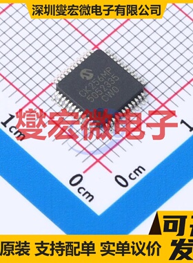 dsPIC33CK256MP505-E/PT TQFP-48(7x7) DSP/DSC数字信号处理器