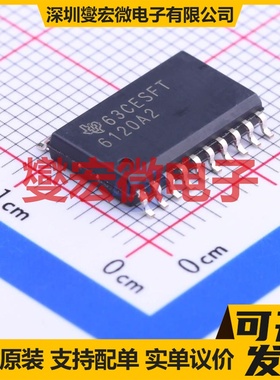 TPA6120A2DWPR HSOP-20-300mil AB类功放音频放大器芯片IC