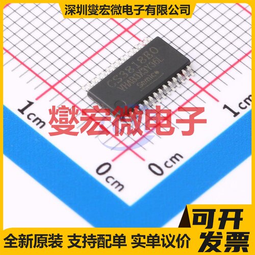 CS3818EO HTSSOP-28 D类功放音频放大器芯片IC