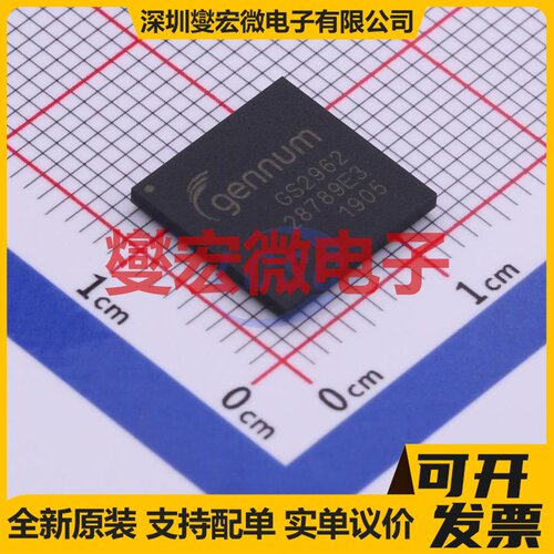 GS2962-IBTE3 BGA-100 视频接口芯片IC