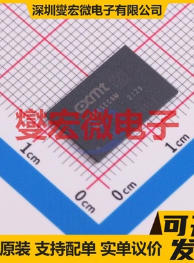 CXDB5CCAM-ML FBGA-200 内存颗料芯片IC