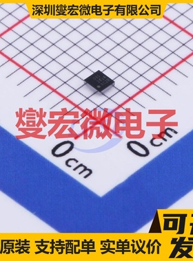 CS1621CGO SSOP-48-300mil LCD驱动器芯片IC