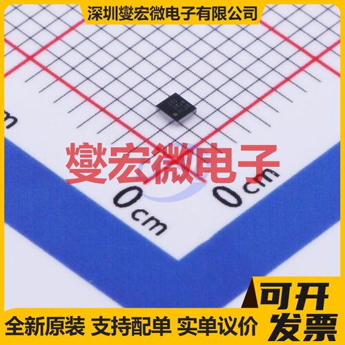 CS1621CGO SSOP-48-300mil LCD驱动器芯片IC