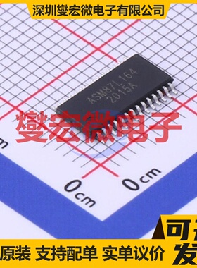 ASM87L164 TSSOP-28 MCU/MPU/SOC微处理器控制器