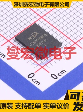 XT25F256BWSIGT WSON-8-EP(6x8) 256Mbit NOR FLASH存储器芯片IC