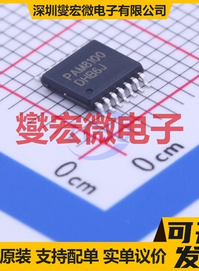 PAM8100RRR TSSOP-14 音频驱动器芯片IC