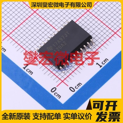 TPA6120A2DWP HSOP-20-EP-300mil 音频放大器芯片IC