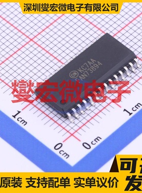 DRV8821DCAR HTSSOP-48-EP-6.1mm 步进电机驱动器芯片IC
