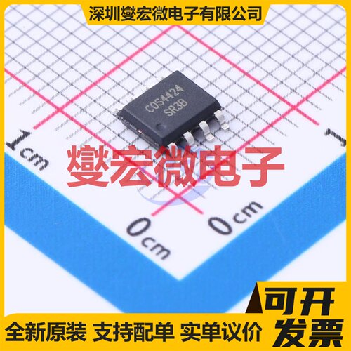 CS1621G0 SSOP-48-300mil LCD驱动器芯片IC