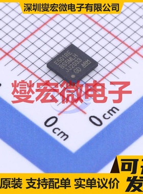 GD32E501REL7 - NOR FLASH存储器芯片IC