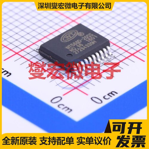 WT588D-20SS SSOP-20-208mil 音频接口芯片IC