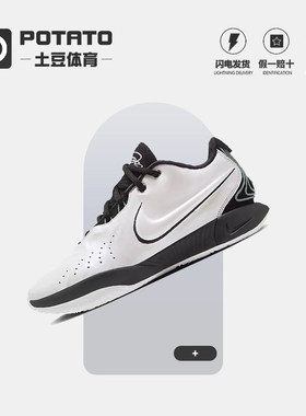 Nike Lebron 21 EP 詹姆斯 银黑 耐磨低帮篮球鞋 男款 HF5842-100