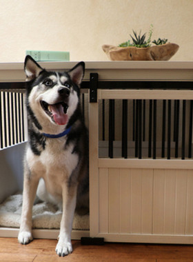 美国ecoflex室内狗屋狗窝居酒屋中小型犬可拆装包邮