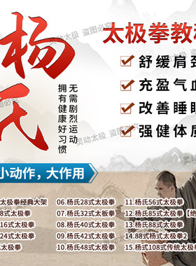 杨氏太极教学视频U盘零基础