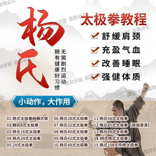 杨氏太极教学视频U盘零基础