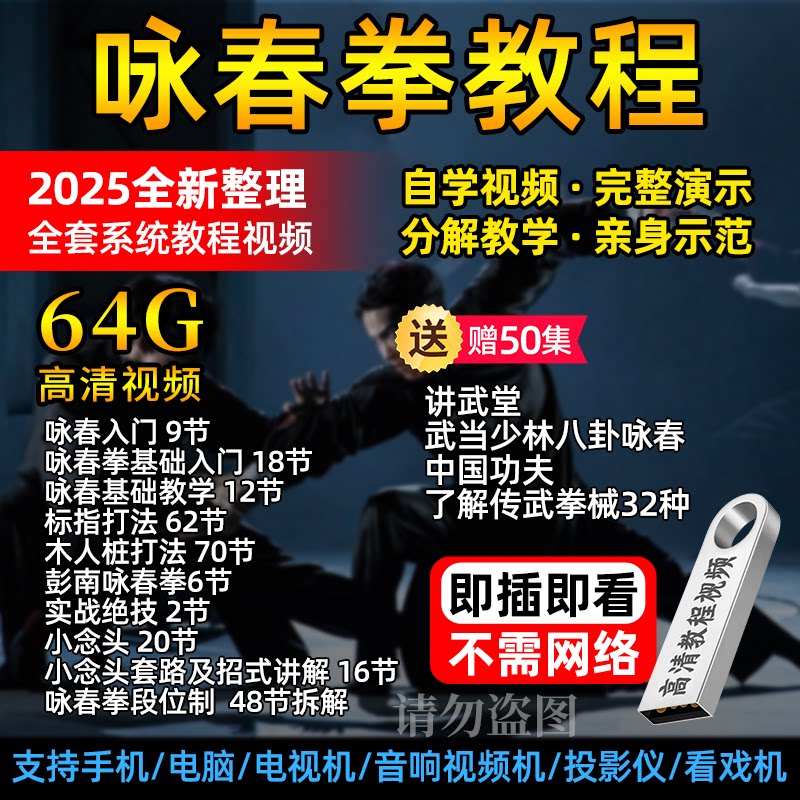 咏春拳视频教程U盘教学木人桩教程寻桥小念头功力训练武术健身mp4