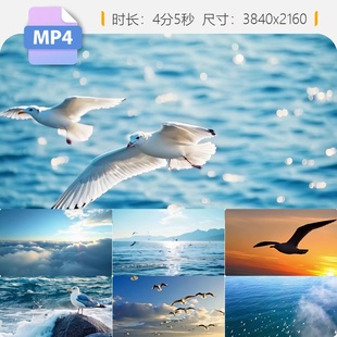 高清海鸥飞翔大海海洋候鸟迁徙翱翔群飞剪影唯美意境视频素材