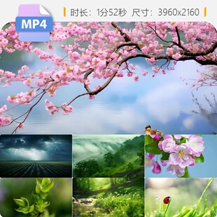 高清春天惊蛰谷雨清明春分万物复苏花开延时生命勃发视频素材