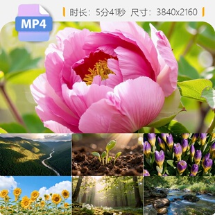 高清春天万物复苏花开生机盎然野生动植物森林晨雾延时视频素材