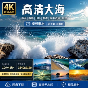 高清大海海洋航拍海浪升格海鸥海面日出海滩波涛汹涌气势视频素材