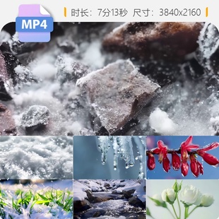 高清冰雪消融万物复苏破土而出嫩芽生长春暖花开冬去春来视频素材