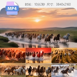 高清万马奔腾草原日落骏马群马光影野性奔马壮观自然动态视频素材