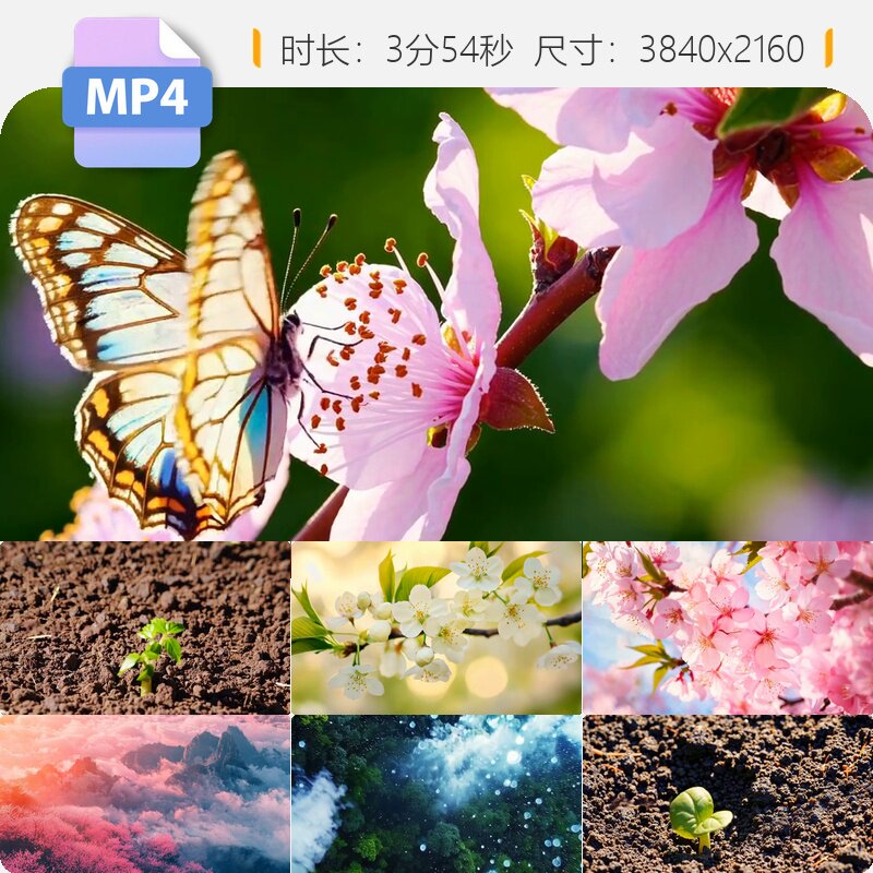 高清春天万物复苏种子发芽嫩苗破土桃花盛开蜜蜂采蜜延时视频素材