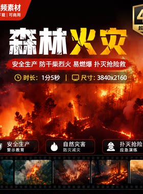 高清森林火灾自然害安全生产防干柴烈火易燃爆扑灭抢险救视频素材