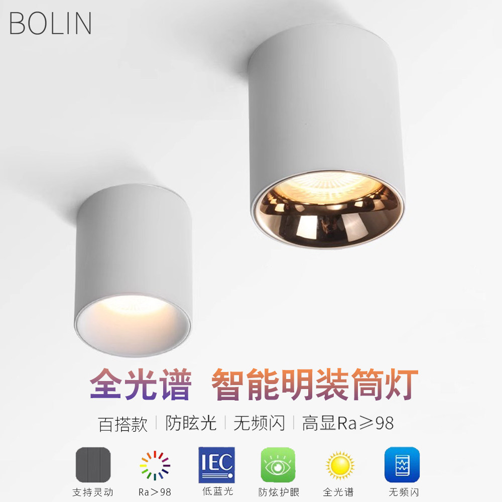 蓝牙mesh2.0明装筒灯客厅无主灯全光谱新款护眼筒灯已接入米家APP,家装灯饰光源,明装射灯,淘宝优惠券,粉丝福利购,淘宝优惠卷