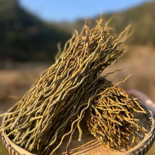 【中缅滋补山货】云南铁皮石斛干条生烤条枫斗中药材特级石斛养生