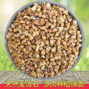 黄金软麦饭石多肉颗粒铺面石拌土颗粒营养土多肉风化土种植通用